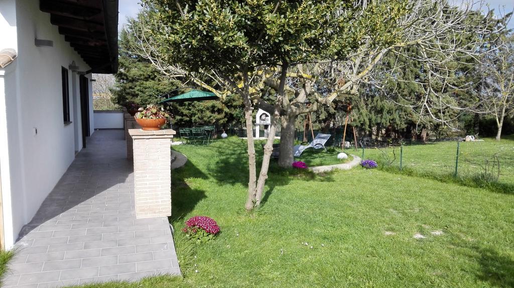Il Piccolo Rifugio - L'Angoletto Palidoro Szoba fotó