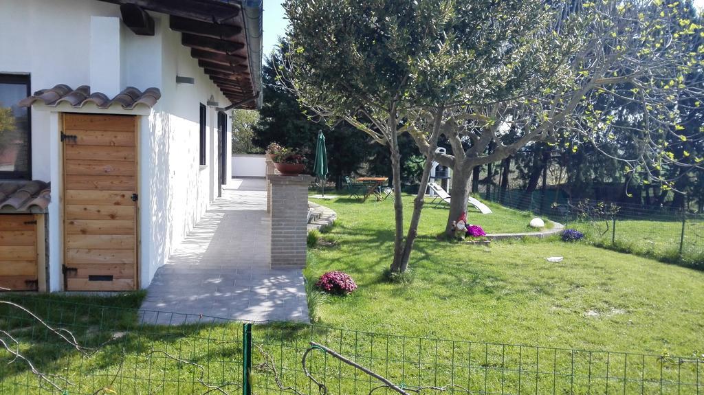 Il Piccolo Rifugio - L'Angoletto Palidoro Szoba fotó