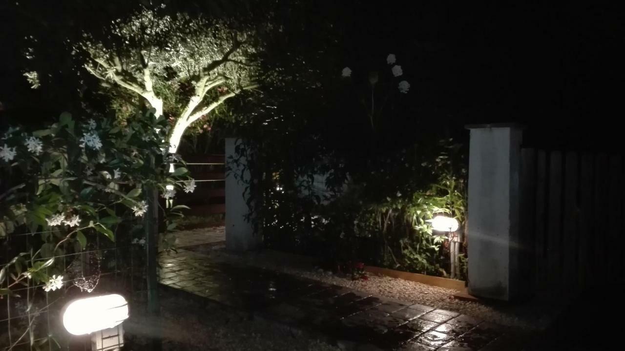 Il Piccolo Rifugio - L'Angoletto Palidoro Kültér fotó